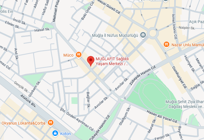Muğlafit Klinik Fizyoterapi Merkezi Haritası